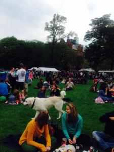 10473182_10202502653388223_6561494913399967819_n