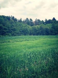 10347179_10202520319989877_1754233071760192557_n