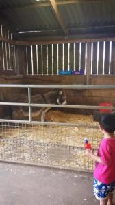 10409370_10202520284108980_2633315209096813340_n