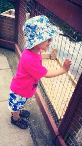 10433259_10202520328030078_2289593700881778831_n