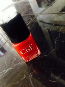 10455183_10202578565125969_935172269062029124_n