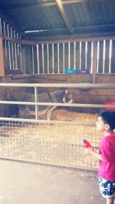 10455853_10202520282508940_4229396173339956458_n