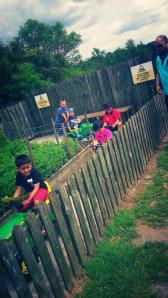 10460737_10202520347310560_1804770916800189771_n