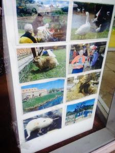 10485535_10202520325870024_2105855678223963182_n