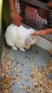 10494845_10202520284909000_3295893272598242244_n