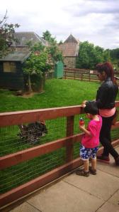 10513306_10202520284468989_437419031374801744_n