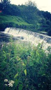 14848_10202520320829898_1885848642381932359_n