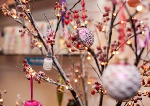 Photo Credits: Gav Young