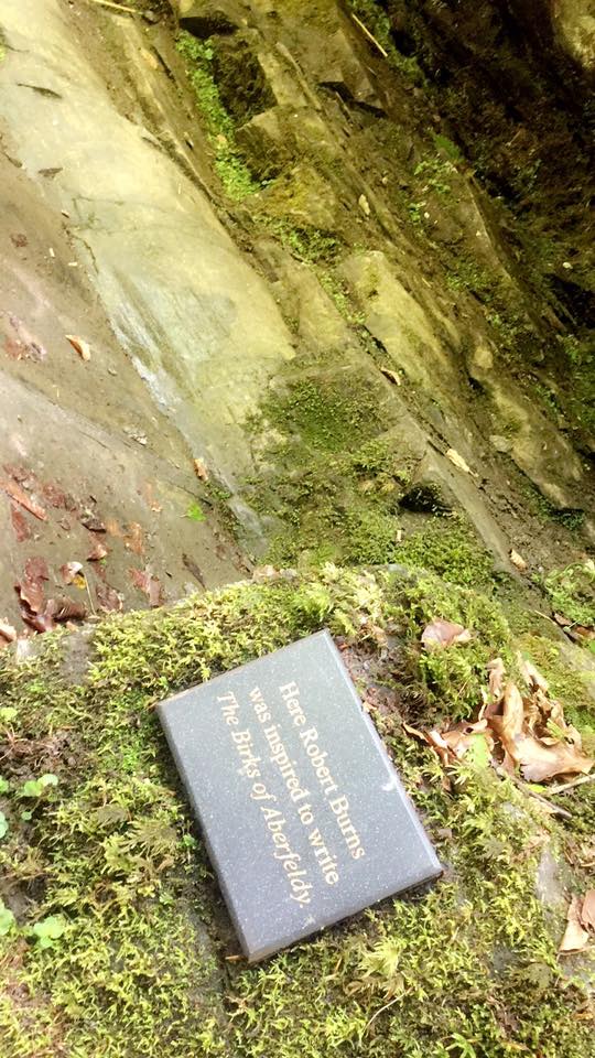 23435138_10211215879613433_9187729195785150000_n