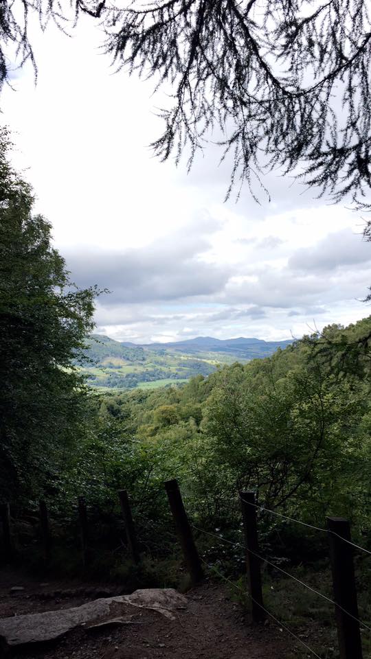 23472177_10211215879653434_6238978454746257435_n