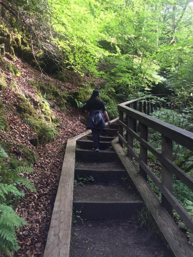 23517609_10211215882133496_8543487878102824614_n